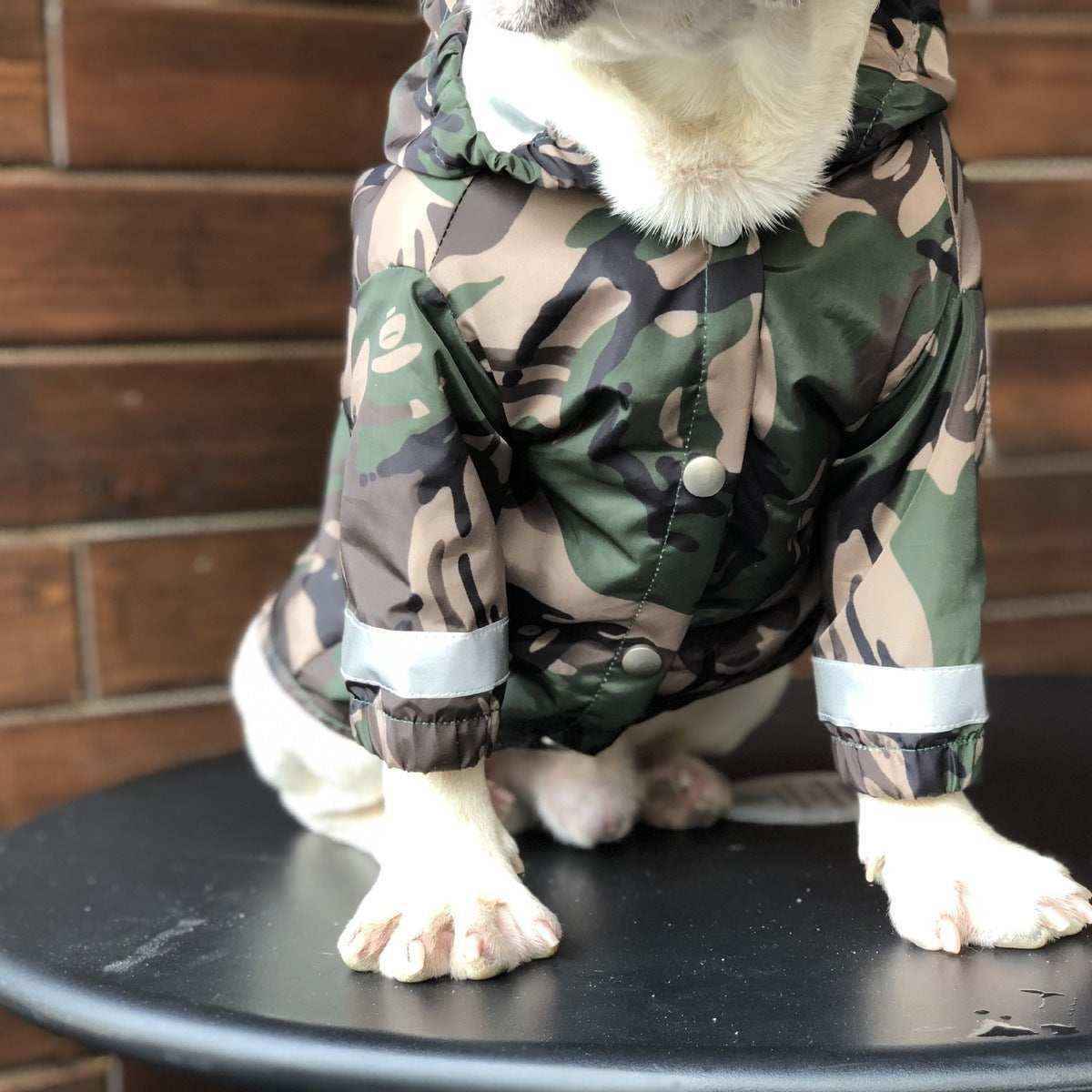 Impermeabile per cani e Bulldog francese riflettente "Manaus" by Dog Moda