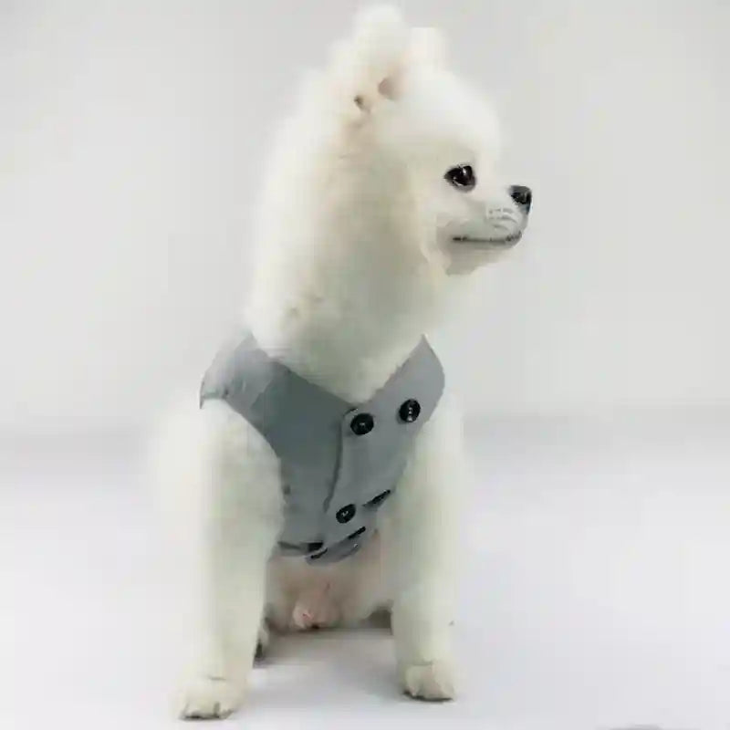 White fluffy dog wearing a stylish grey buttoned vest sitting against a plain white background