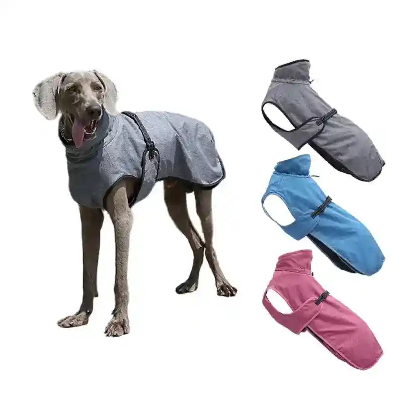 Weimaraner dog wearing gray waterproof dog coat with collar and buckle, shown with blue and pink coat variants