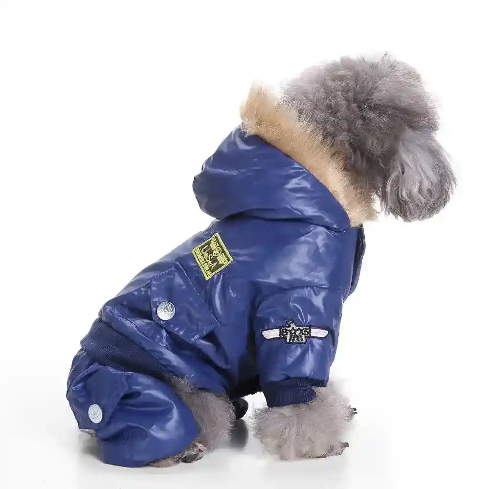 Small dog wearing a blue waterproof jacket with fur-trimmed hood and patches