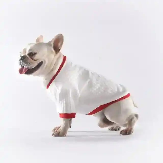 Maglioncino per Bulldog Bianco con Dettagli Rossi - Eleganza e Comfort per l'Inverno by Dog Moda