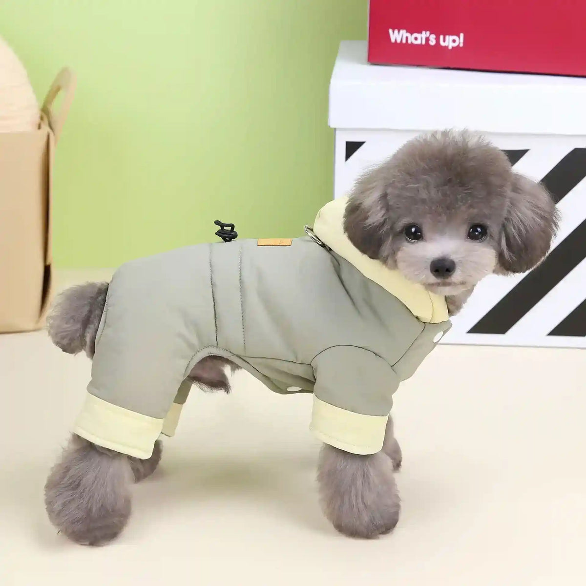 Cappotto in Pile per Cani "Dadagou" con Cappuccio e Chiusura a Bottoni ❄️ by Dog Moda