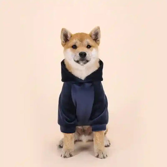 Felpa per cani Akita Inu con cappuccio e pon pon - Calore e Stile per i mesi invernali by Dog Moda