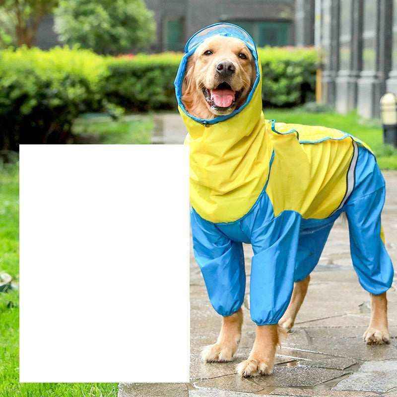 Golden retriever dog wearing blue and yellow raincoat standing on wet pavement in outdoor garden