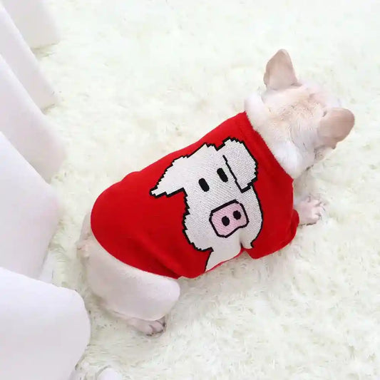 Small white dog lying on a fluffy white rug wearing a red sweater with a pig face design