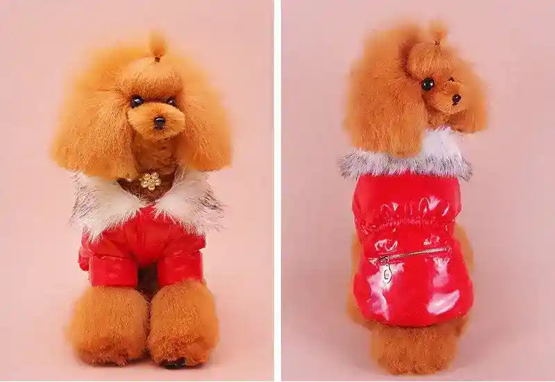 Piumino "Avignone" per Barboncino, Impermeabile e Caldo con Dettagli Chic by Dog Moda
