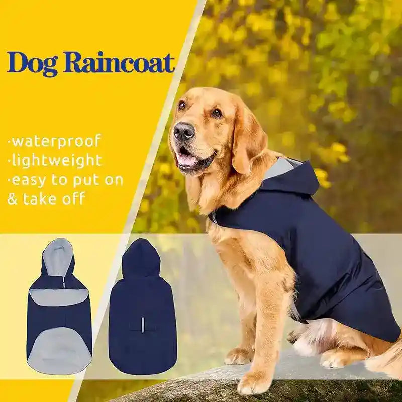 Golden retriever wearing a navy blue waterproof dog raincoat with hood outdoors