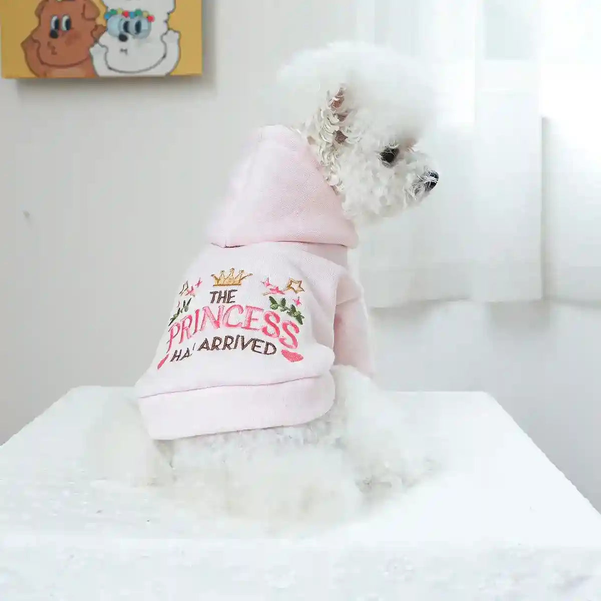 Felpa per Cani Rosa "The Princess Has Arrived" con Cappuccio e Ricami by Dog Moda
