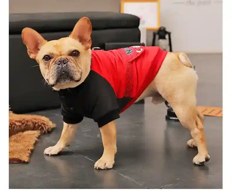 Cappotto Cani Next Level - Antipioggia Antivento Pile by Dog Moda
