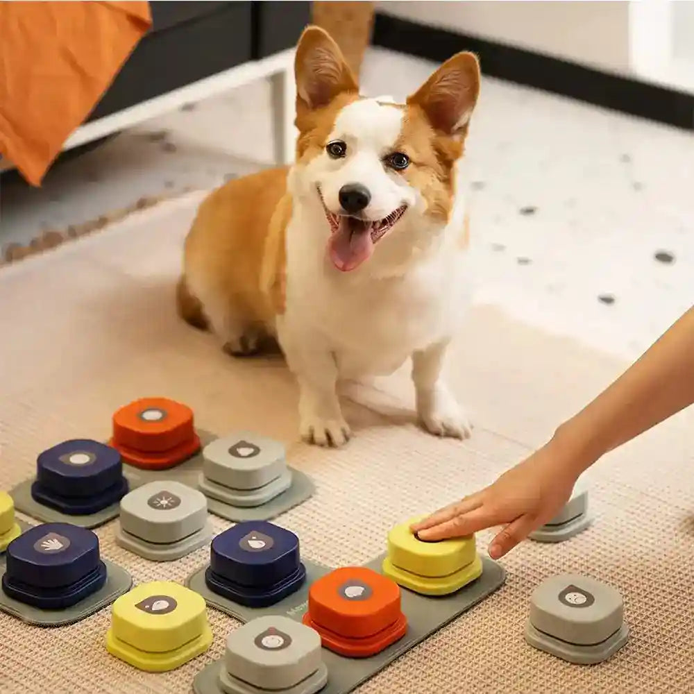 Pulsanti per cani interattivi programmabili "Tiles" by Dog Moda