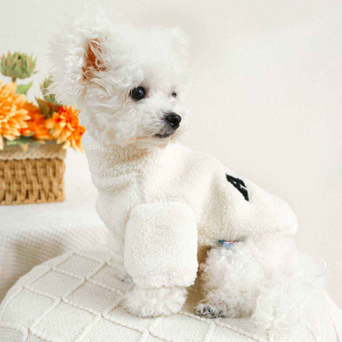 Maglia in Pile "ABC Cozy" per Cani - Calore e Stile nei Mesi Freddi - Dog Moda