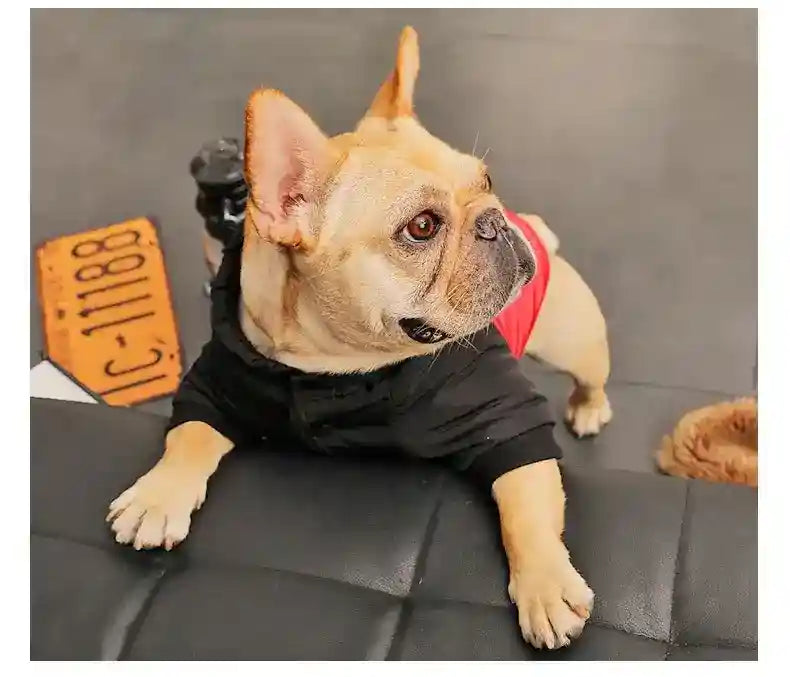 Cappotto Cani Next Level - Antipioggia Antivento Pile by Dog Moda