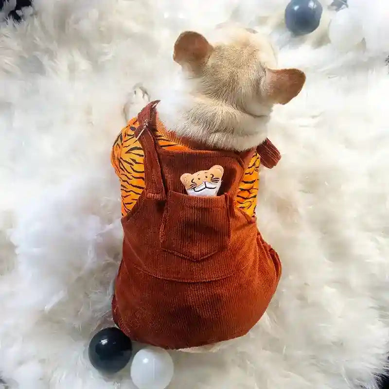 Small dog wearing orange tiger-striped shirt and brown corduroy overalls with tiger patch sitting on white fluffy rug