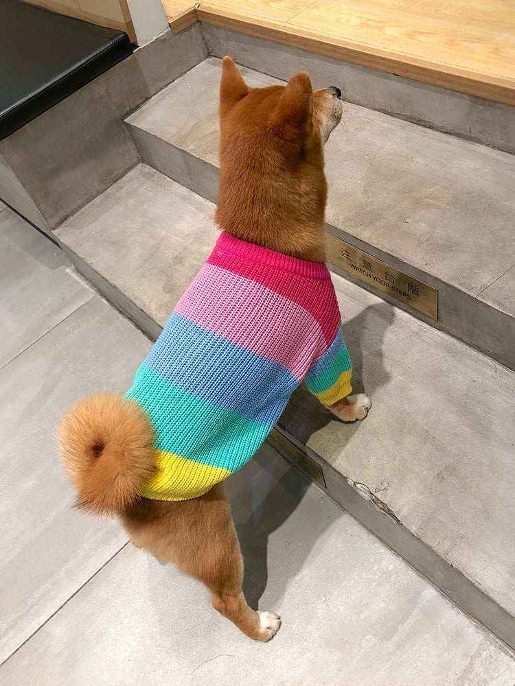 Maglia per cani "Rainbow" - Cheepet by Dog Moda