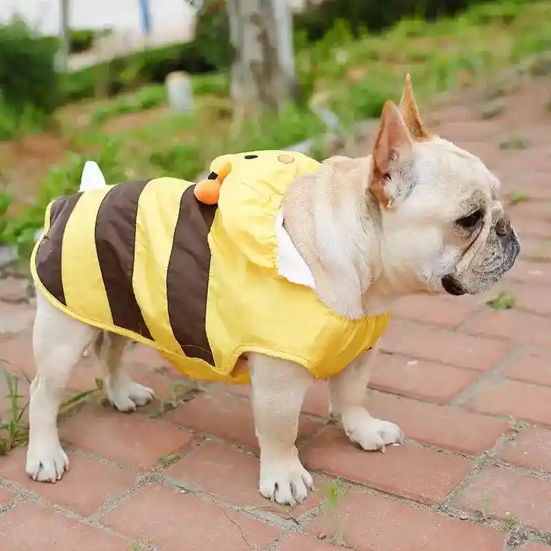 Impermeabile per Cani "Bee" Simpatico e Funzionale per la Pioggia by Dog Moda