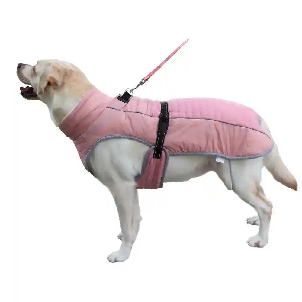 Cappotto Imbottito per Cani "Aosta" - Comfort, Stile e Praticità by Dog Moda