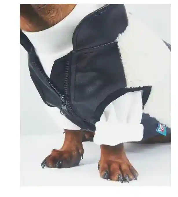 Cappotto Bassotto Cashmere Pile Agnello con Zip Torace by Dog Moda