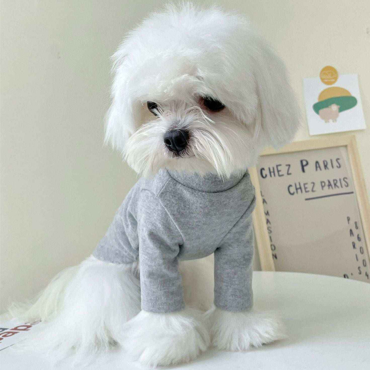 Maglia per cani "Paris" by Dog Moda