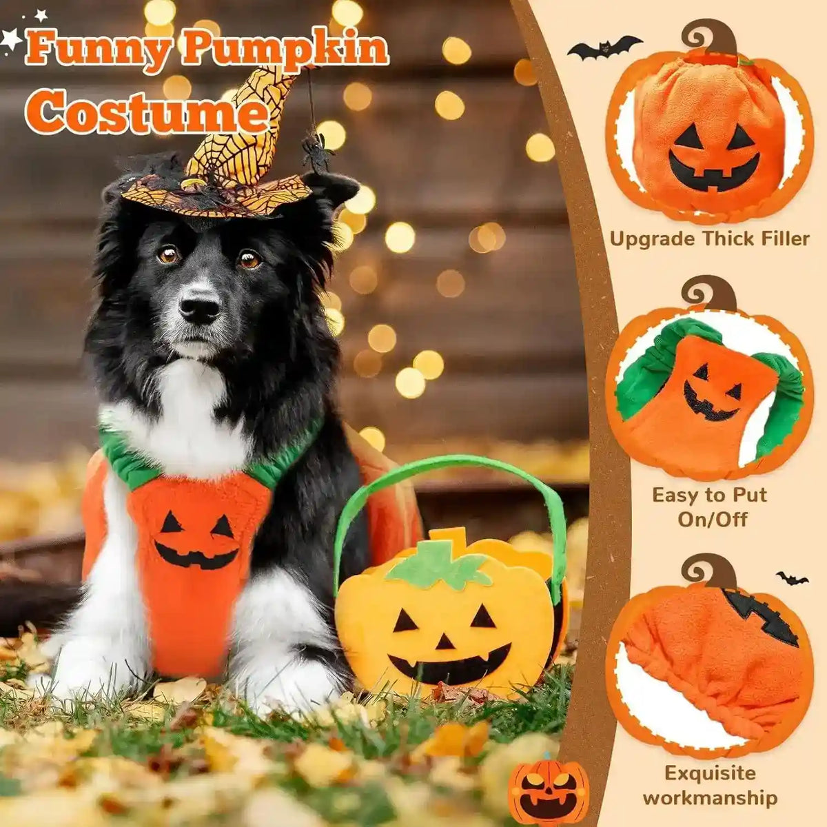 Black and white dog wearing an orange pumpkin costume with a witch hat on fall grass with pumpkin basket