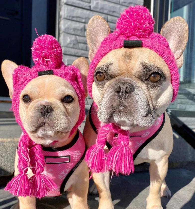 Cappello in Lana per Cani Piccola Taglia "Saint Moritz" - Eleganza e Comfort Invernale