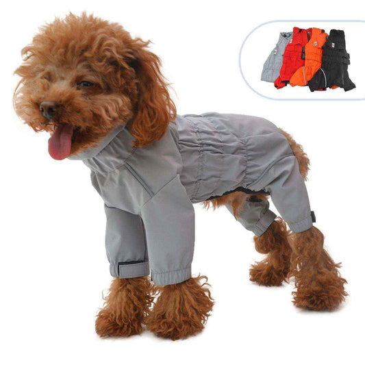 Curly brown dog wearing a gray waterproof full-body raincoat with adjustable cuffs