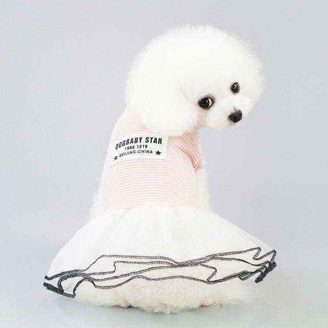 White poodle wearing pink striped dog dress with 'DOGBABY STAR' text on back, posing against gray background