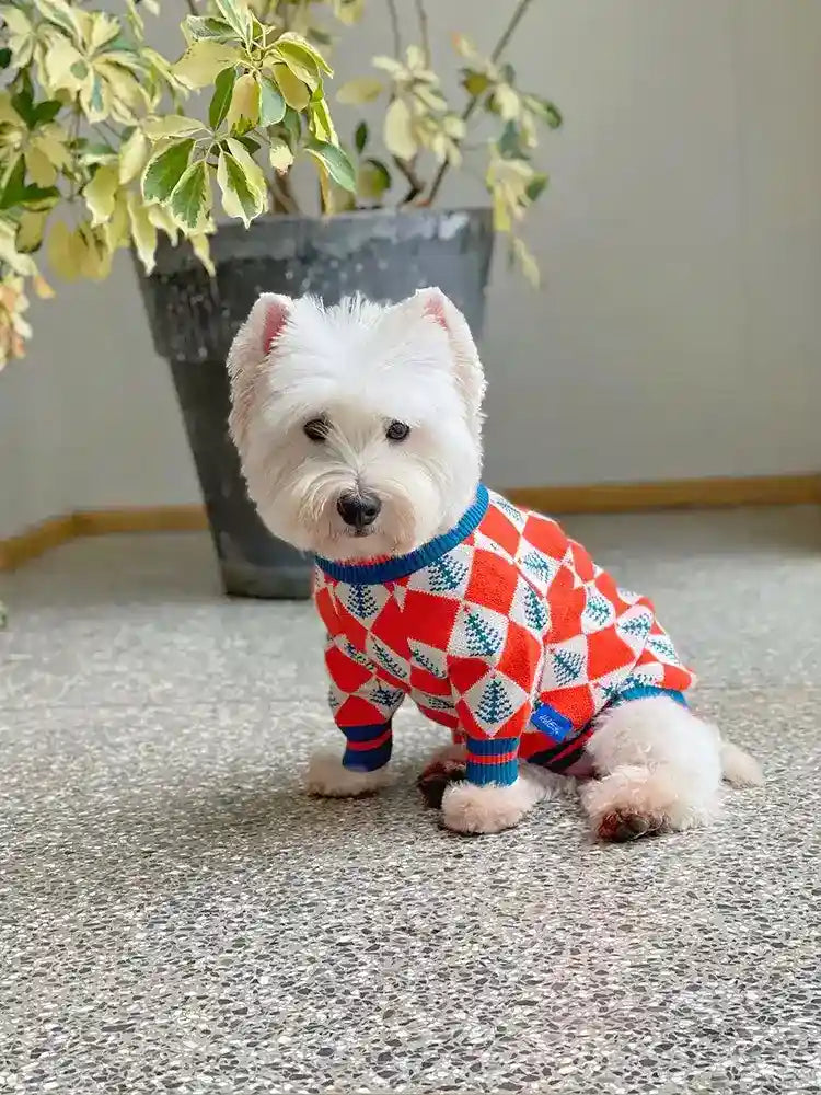 Maglioncino per Cani "Natale" – Stile Festivo e Massimo Comfort! ❄️ by Dog Moda