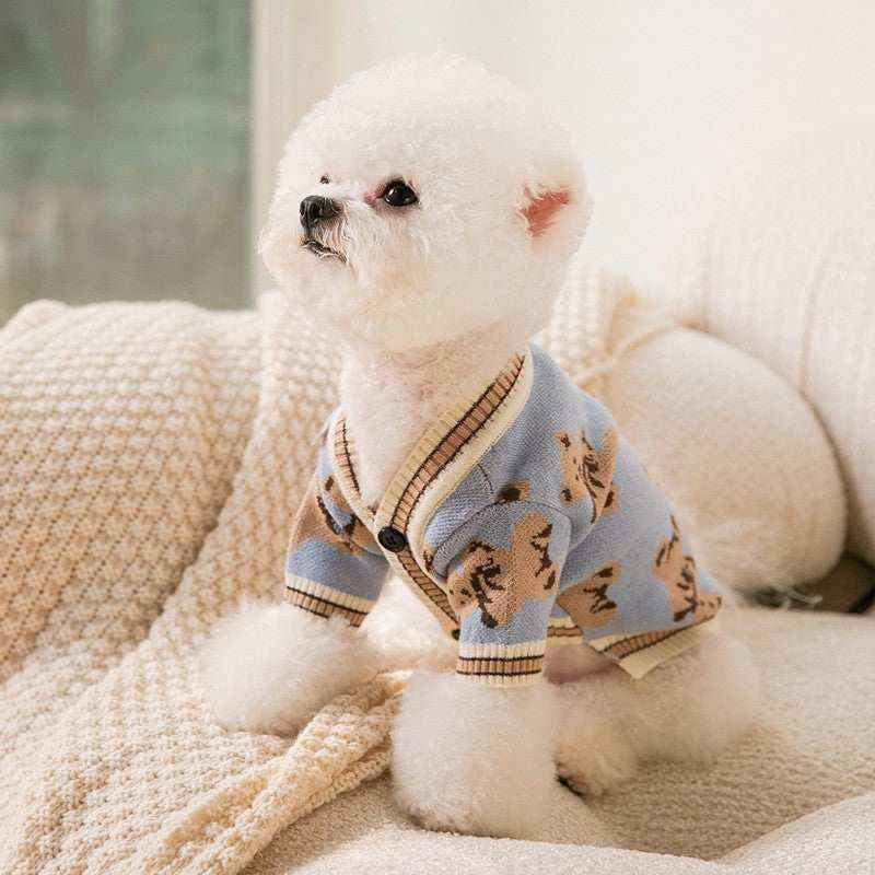Maglione per cani "Paradiso" in fantasie vivaci per piccoli amici by Dog Moda