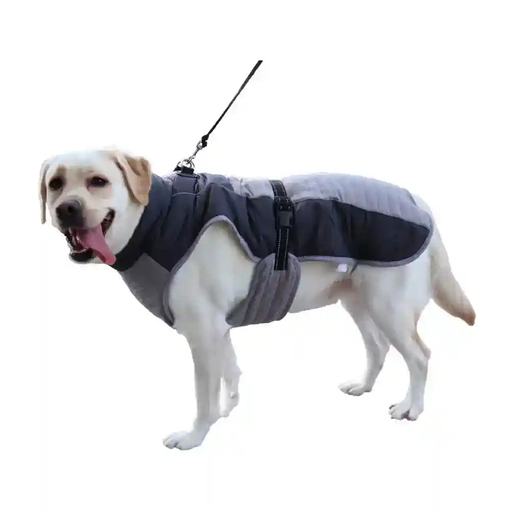 Cappotto Imbottito per Cani "Aosta" - Comfort, Stile e Praticità by Dog Moda