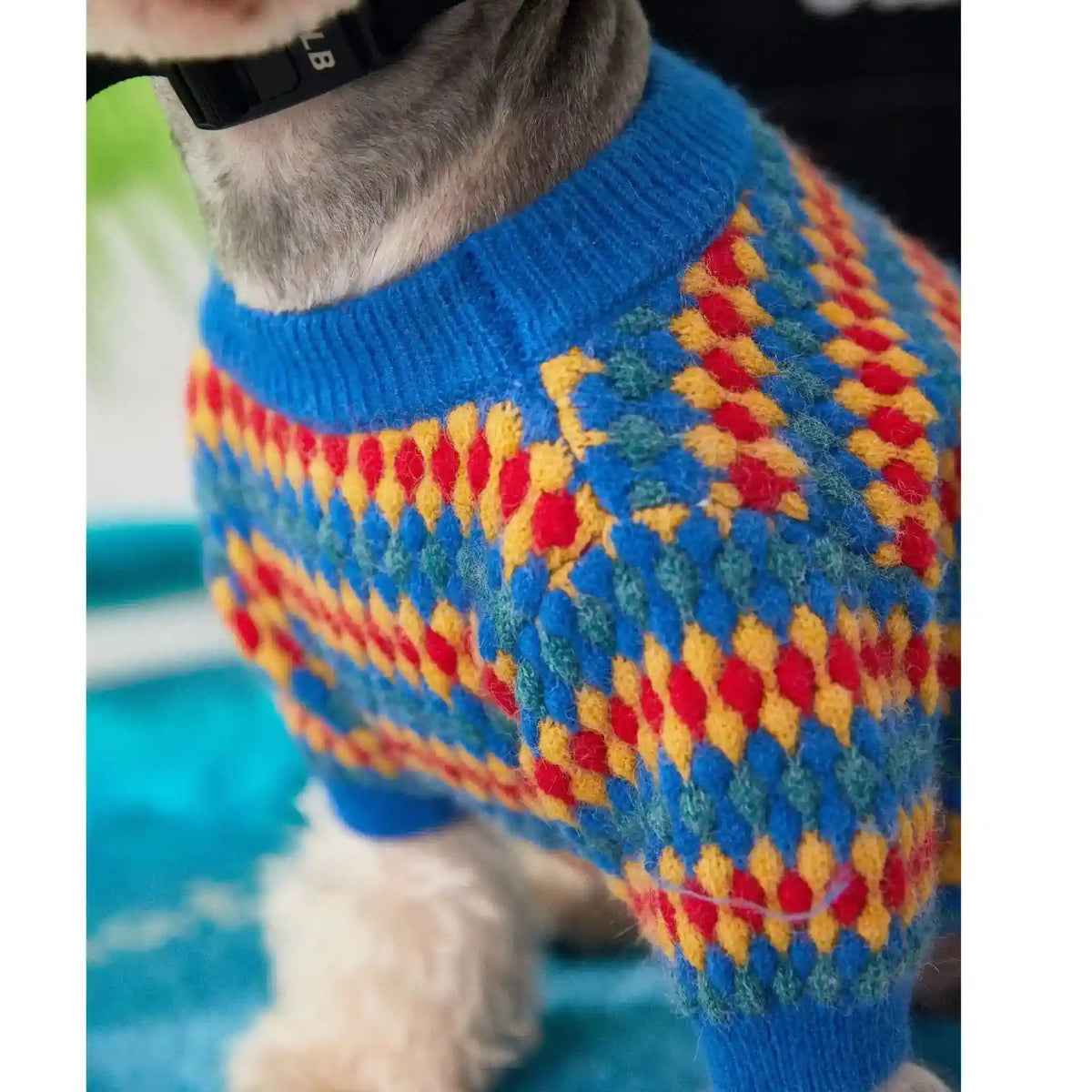 Maglioncino per Cani Pamplona | Colori Vivaci e Rombi Gialli, Rossi e Blu by Dog Moda