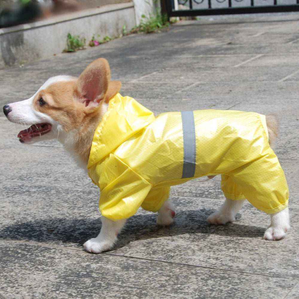 Impermeabile per Cani e Bassotto "RainStar" – Stile e Protezione per Tutti i Cani by Dog Moda