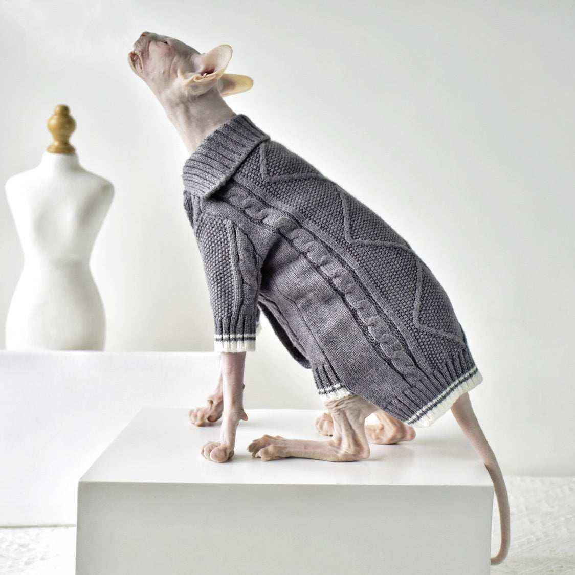 Maglione Elegante per Gatti Sphynx – Stile e Comfort per Ogni Stagione by Dog Moda