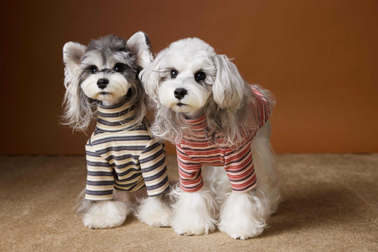 Maglia per Cani a Righe Tawney Bear - Stile Casual by Dog Moda