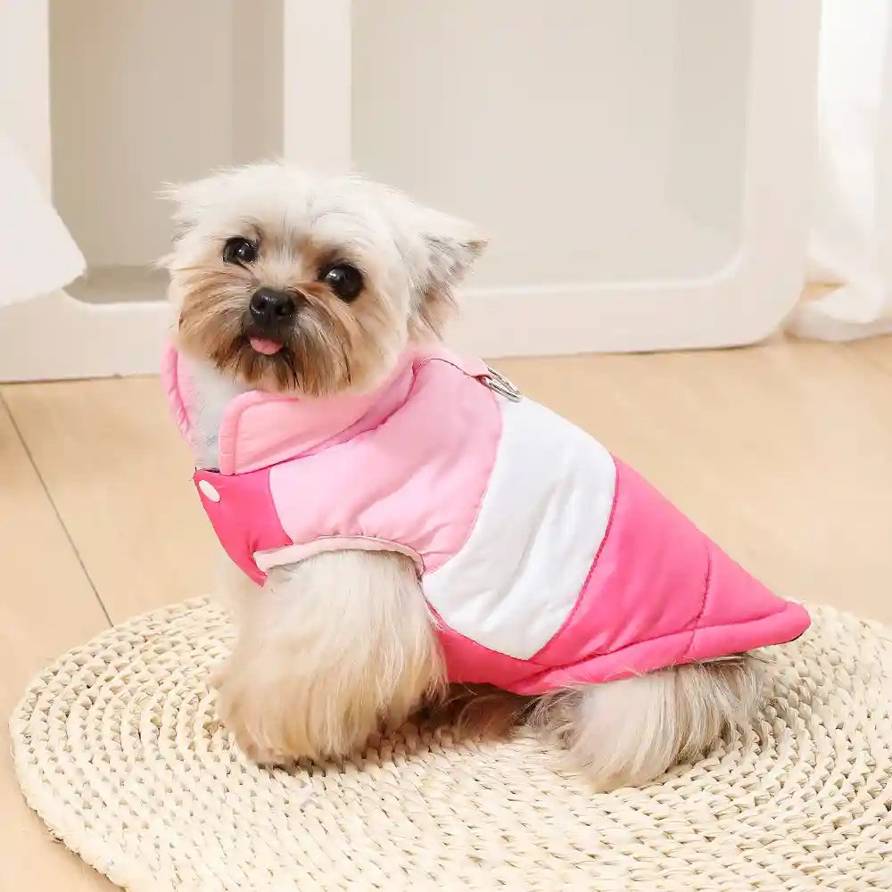 Cappotto SPACE Smanicato per Cani - Collo Alto Imbottito by Dog Moda
