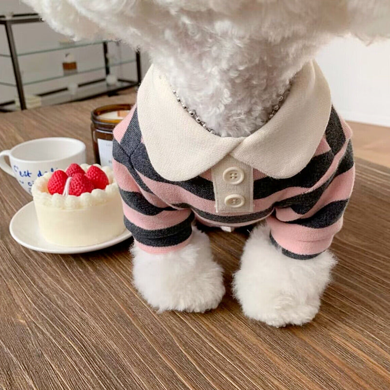 Striped Sweater for Pomeranian, Poodle and Small Dogs - Stylish Dog and Cat Clothing