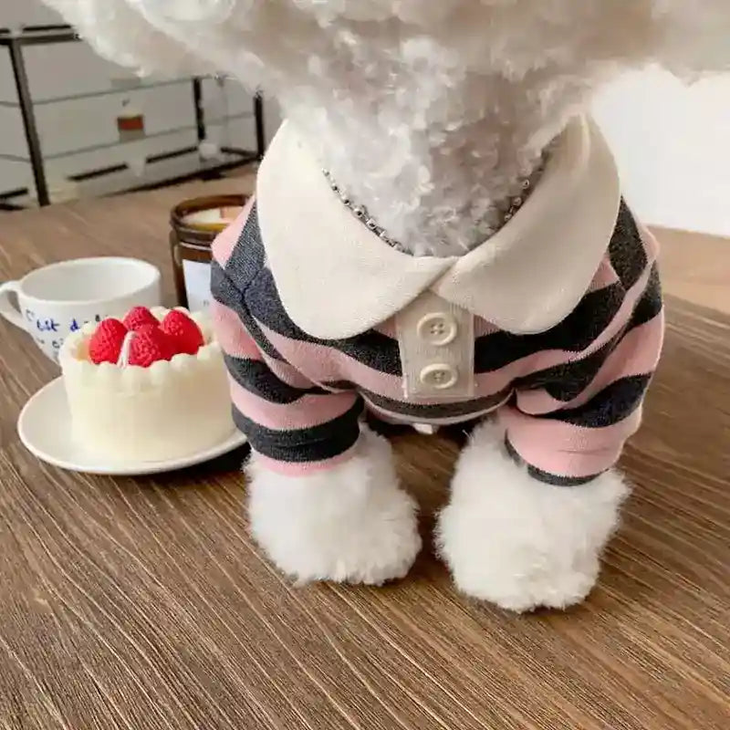 Maglia a Righe per Pomerania, Barboncino e Cani di Piccola Taglia - Abbigliamento Elegante per Cani e Gatti by Dog Moda