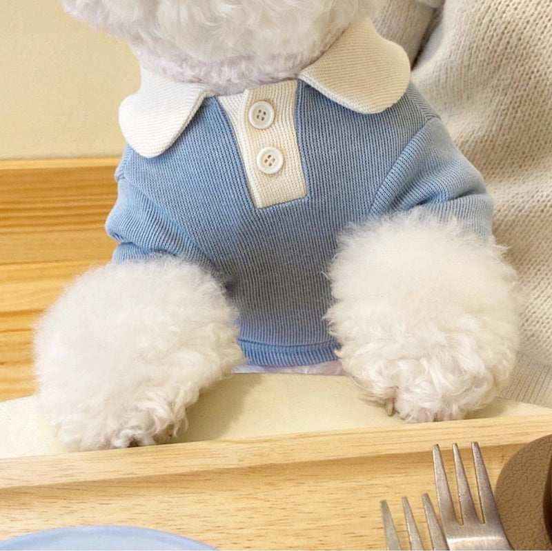 Fluffy white dog wearing a blue knit polo shirt sitting at a wooden table with cutlery