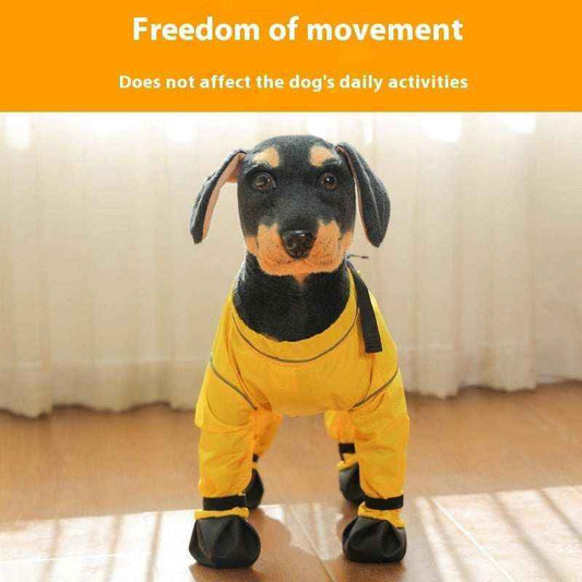 Wasserdichte Hundehose mit Schuhen | Regen- und Winddicht