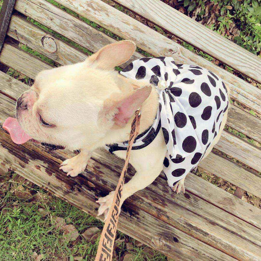 Vestito per Cani a Pois con Gonnellina e Fiocco by null