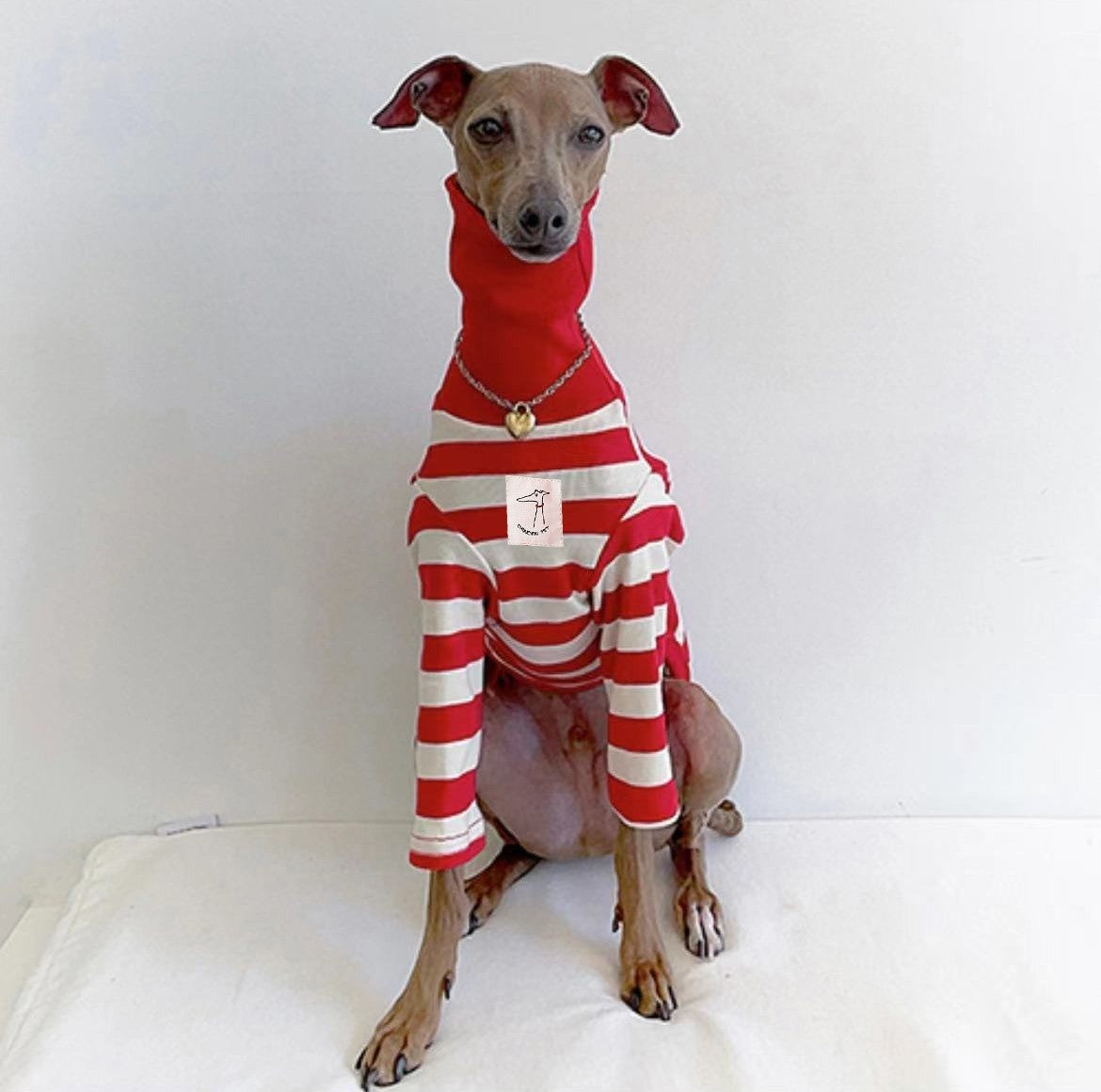 Maglia per Levrieri "Chouchou Pet" a Righe con Collo Alto Ripiegabile
