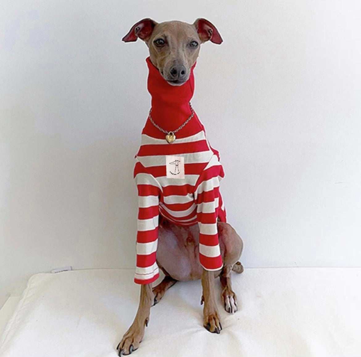 "Chouchou Pet" Striped Greyhound Sweater with Foldable High Neck