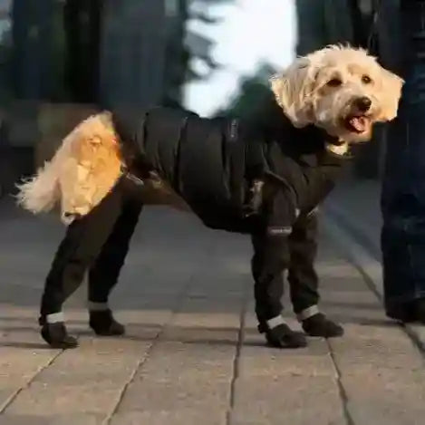 Scarpe Impermeabili per Cani con Cinturino Elastico e Dettagli Riflettenti by Dog Moda