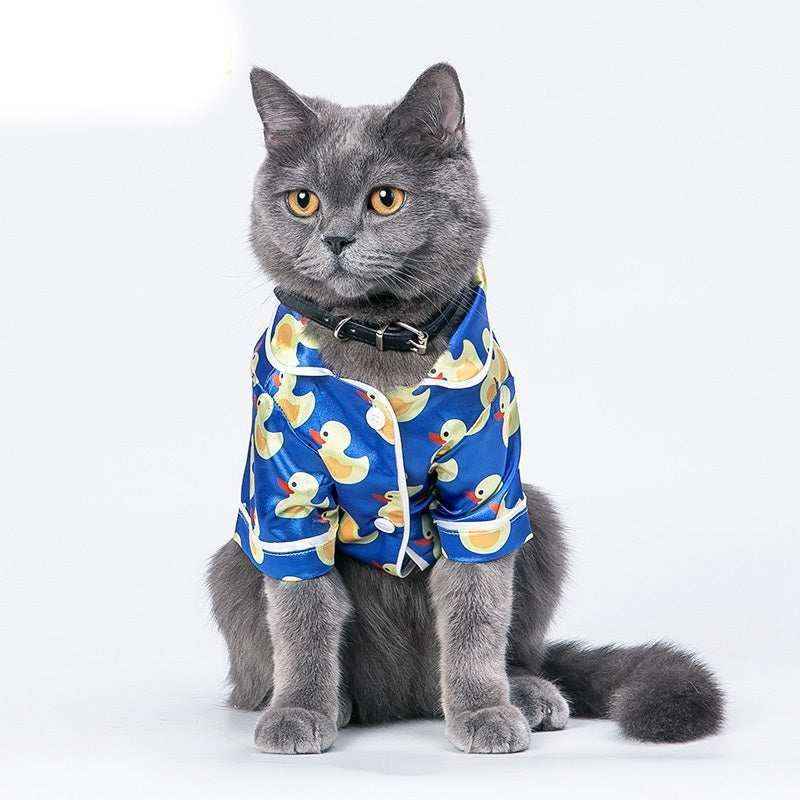 Gray British Shorthair cat wearing a blue duck-print shirt sitting on white background