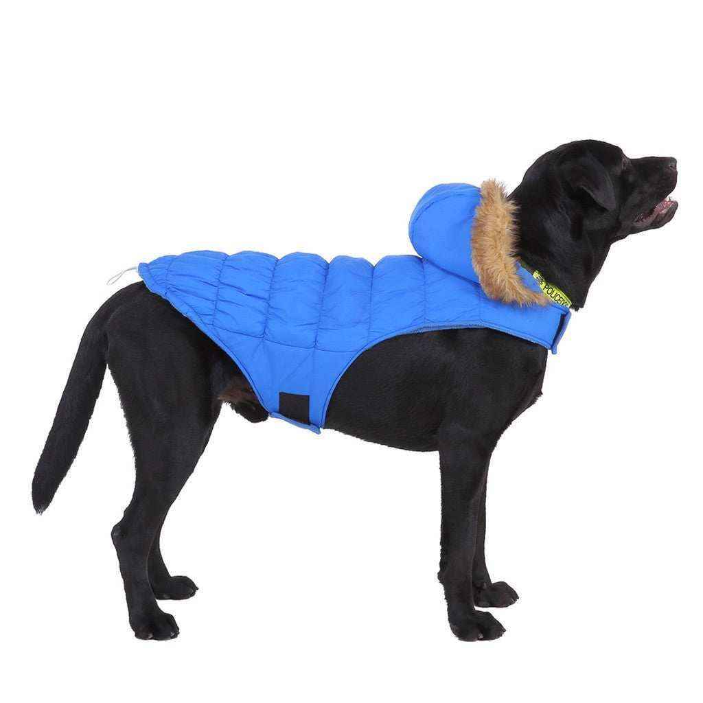 Cappotto per Cani Imbottito in Pile con Cappuccio in Ecopelliccia - Eleganza e Calore per il Tuo Amico a Quattro Zampe by Dog Moda