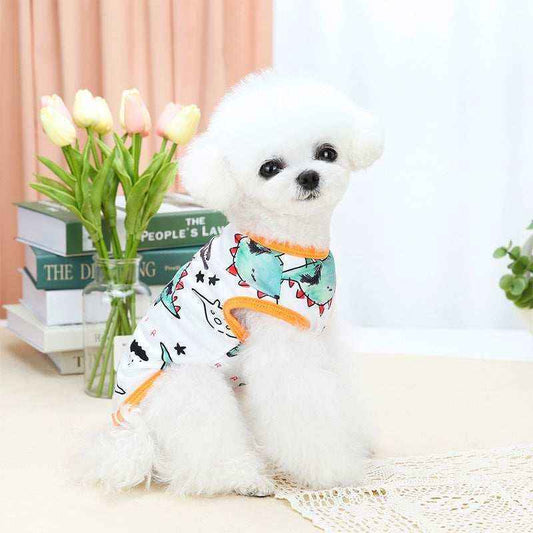 Small white poodle wearing colorful dinosaur print dog shirt sitting on beige surface with tulips and books in background