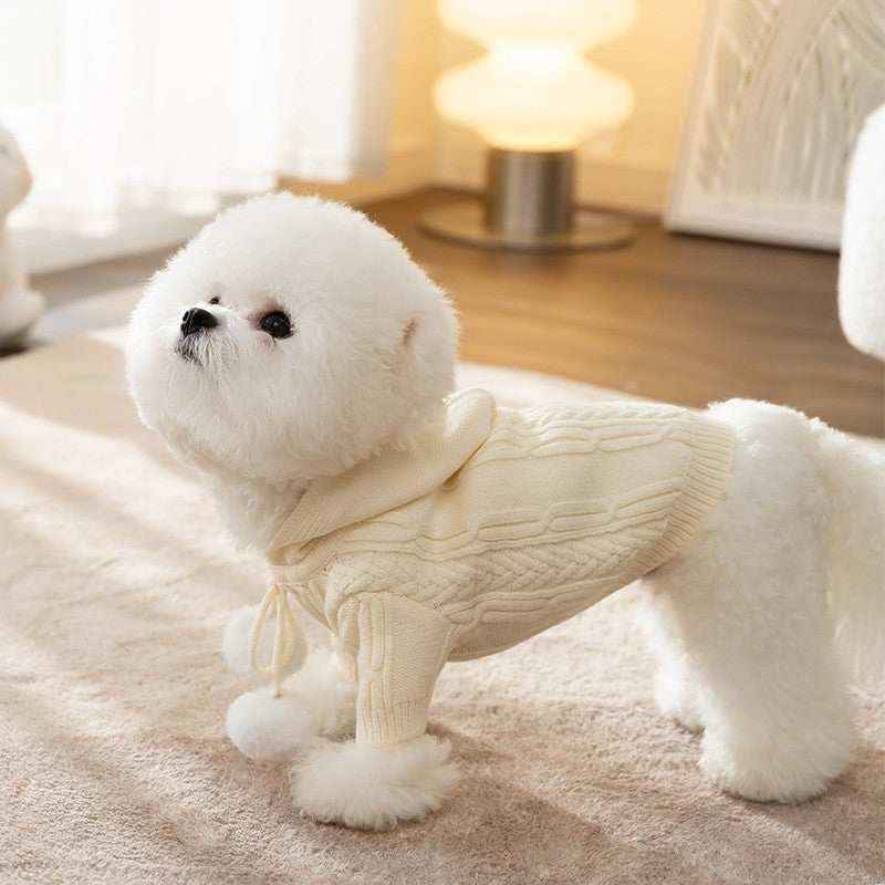 Maglione per cani "Paradiso" in fantasie vivaci per piccoli amici by Dog Moda