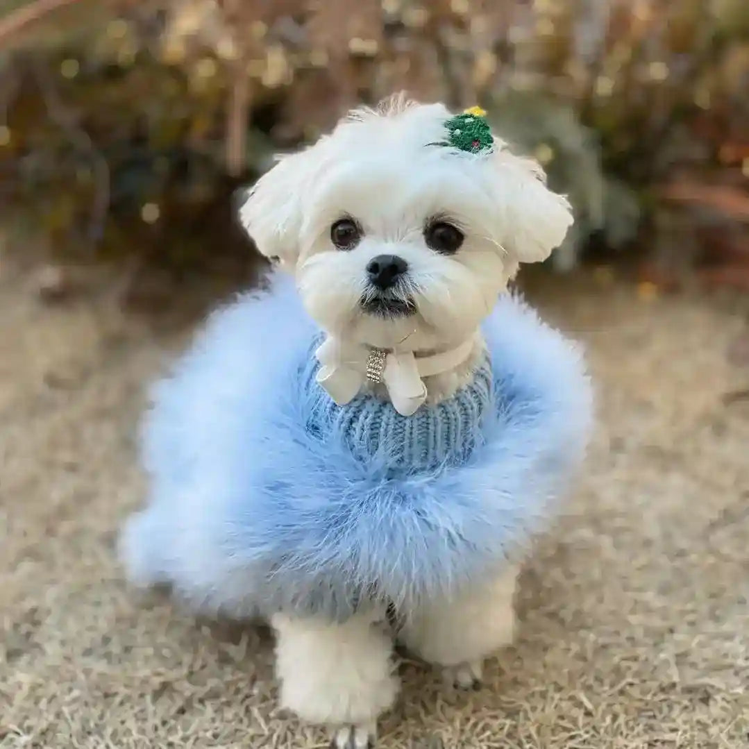 Maglia per cani vaporosa "Glamour" by Dog Moda