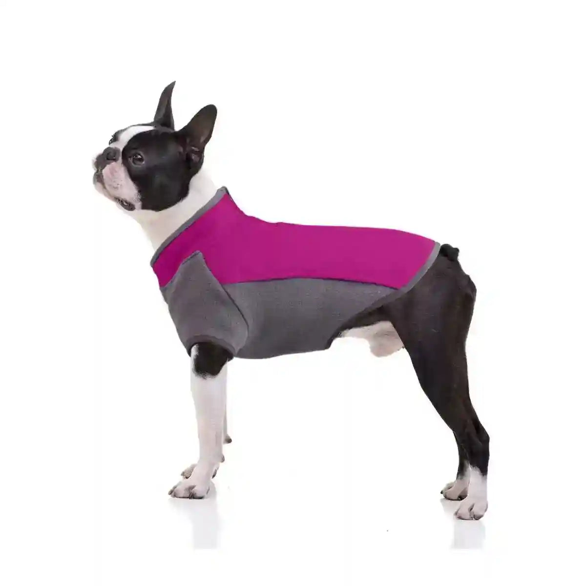 Cappottino per Boston Terrier in Pile | Elasticizzato e con Zip sul Collo by Dog Moda