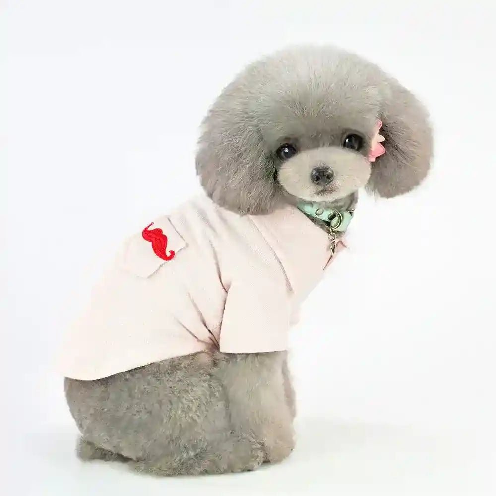 Gray poodle wearing a light pink shirt with red mustache patch and pink flower accessory