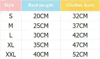 Size chart showing back length and clothes bust measurements for sizes S to XXL in centimeters